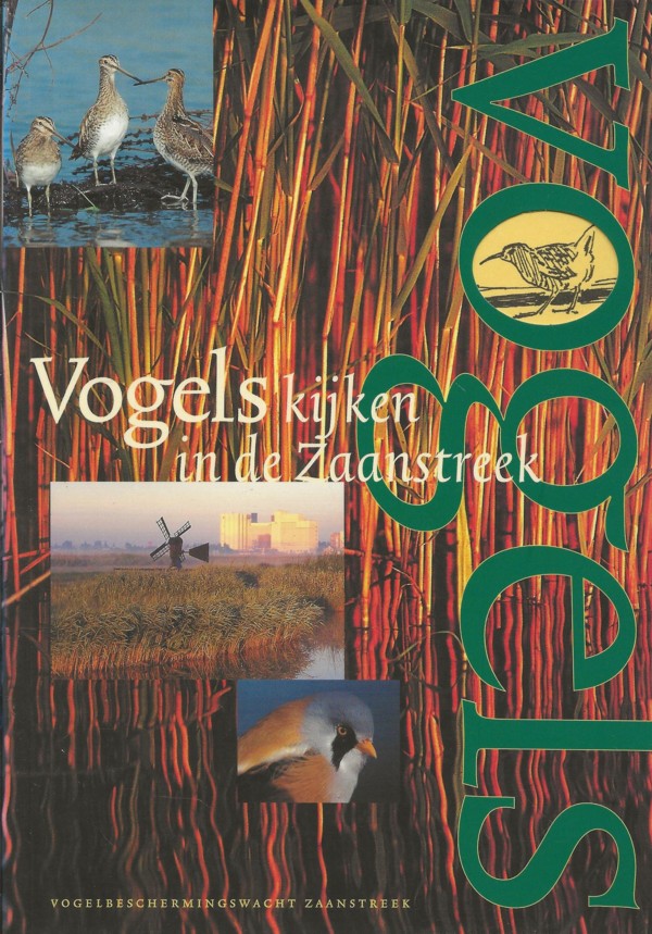 Vogels kijken in de Zaanstreek