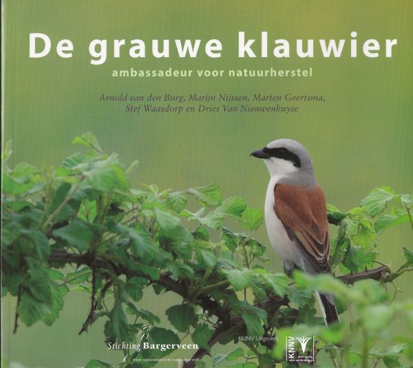 De grauwe klauwier - Ambassadeur voor natuurherstel