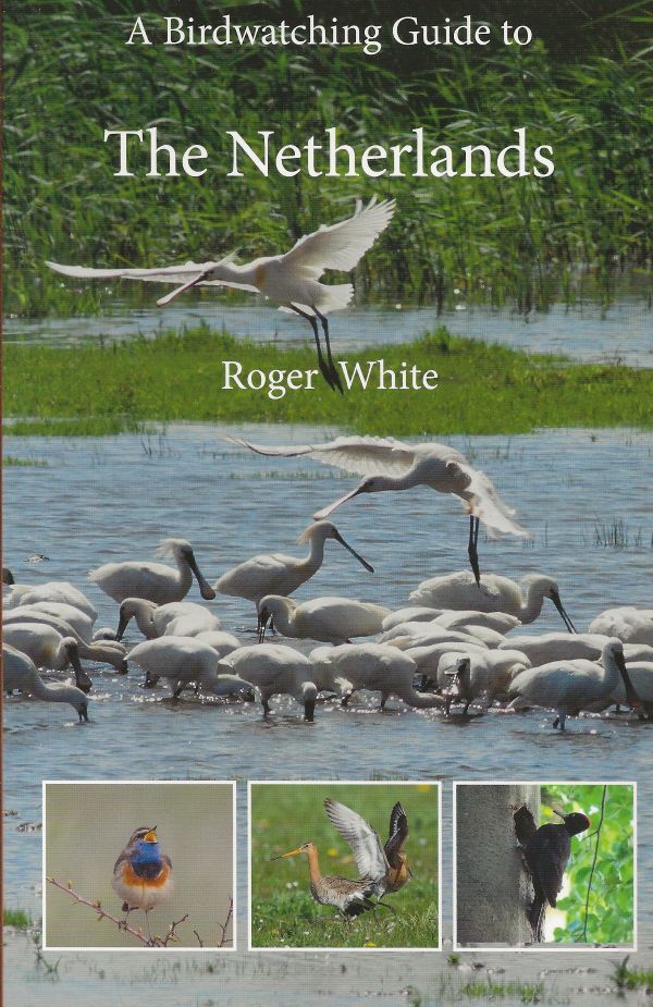 A Birdwatching Guide to The Netherlands