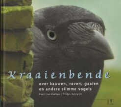 Kraaienbende - Over kauwen, raven, gaaien en andere slimme vogels