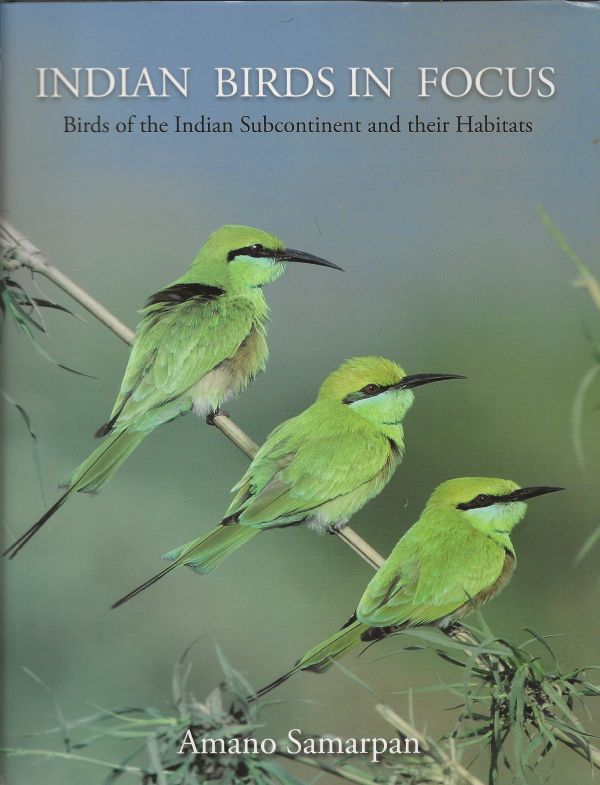 Indian Birds in Focus - Birds of the Indian Subcontinent and their Habitats