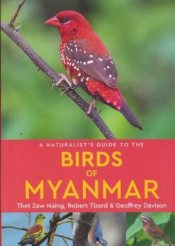 A Naturalist's Guide to the Birds of Myanmar