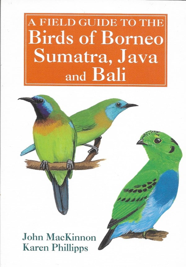 Birds Borneo, Sumatra, Java and – J&J