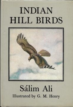 Indian Hill Birds