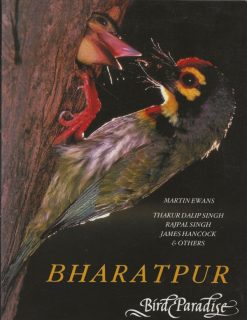 Bharatpur- Bird Paradise