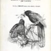 Annotated Checklist of the Birds of Ceylon