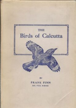 The Birds of Calcutta