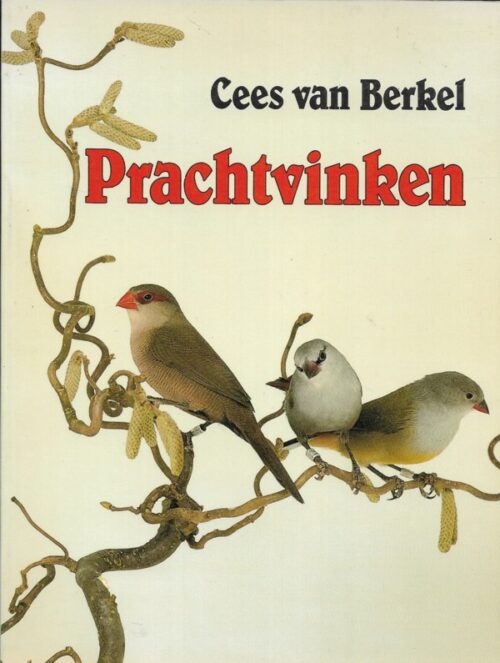 Prachtvinken