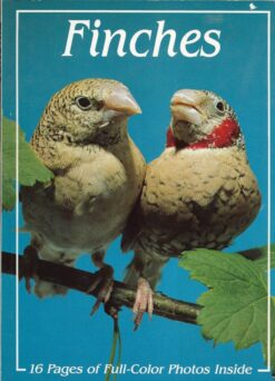 Finches