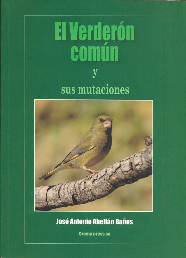 El Verderón común y sus mutaciones