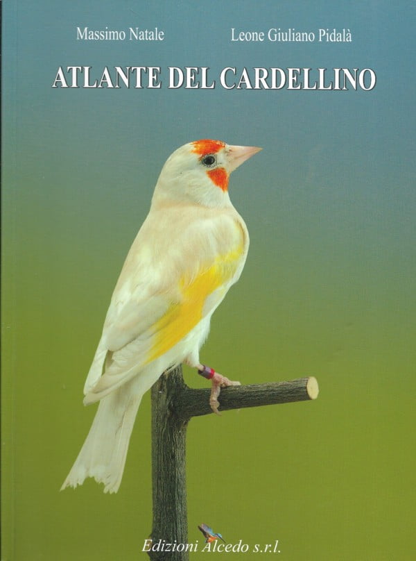 Atlante del Cardellino