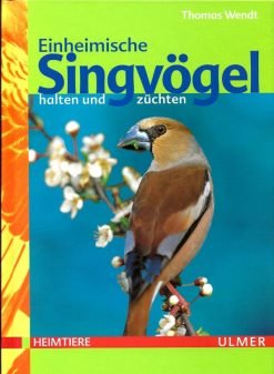 Einheimische Singvögel