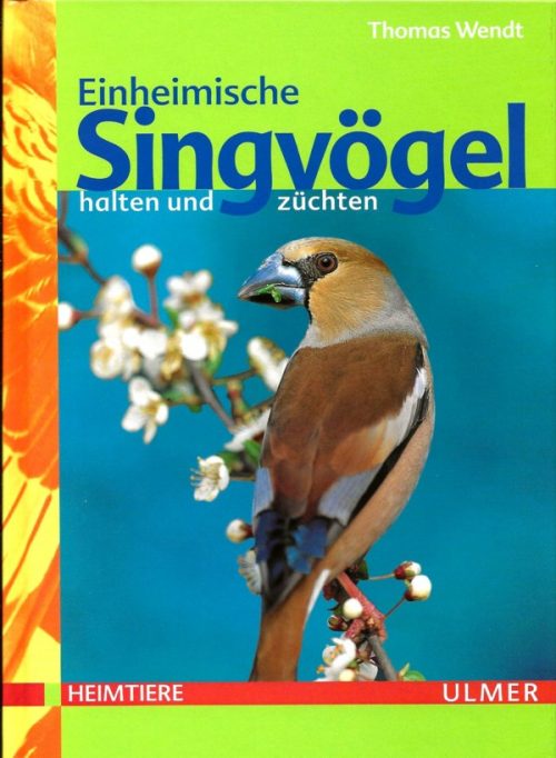 Einheimische Singvögel
