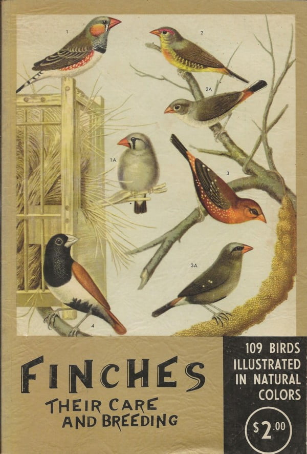 Finches their care and breeding