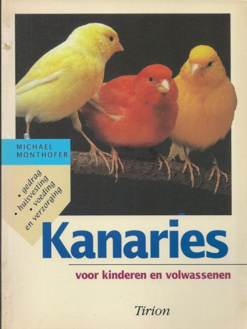 Kanaries voor kinderen en volwassenen