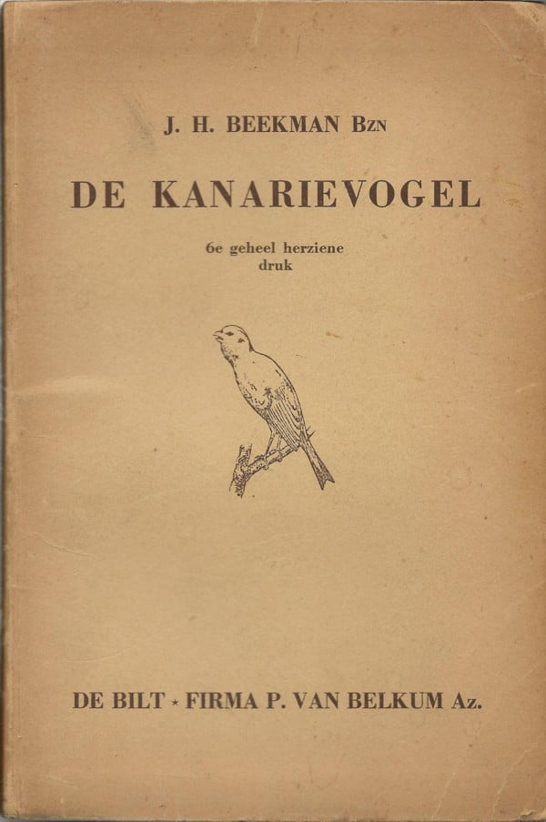 De kanarievogel