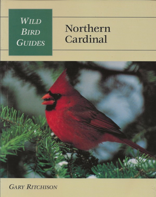 Northern Cardinal