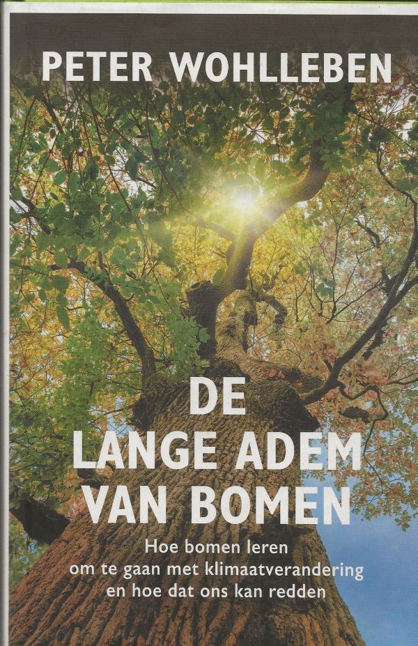 De lange adem van bomen