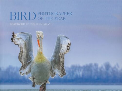 Bird Photographer of the Year - deel 4