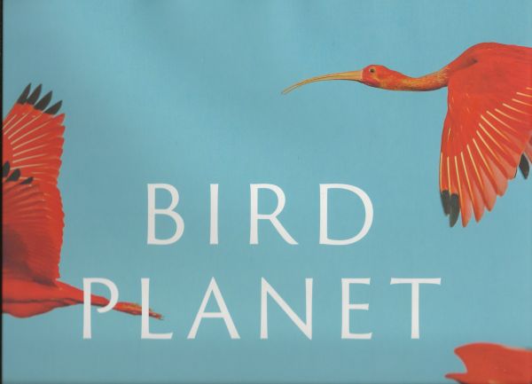 Bird Planet