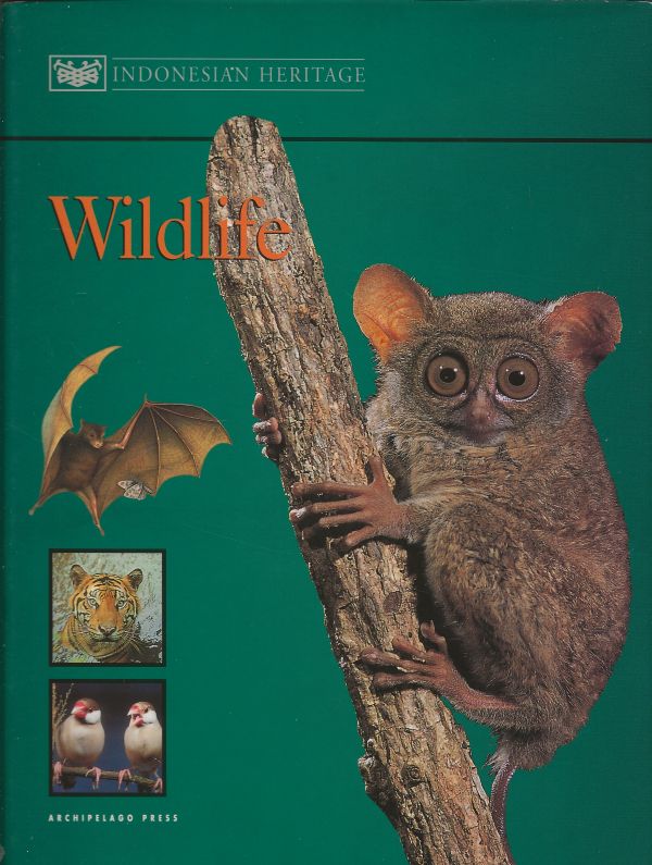 Wildlife - Indonesian heritage