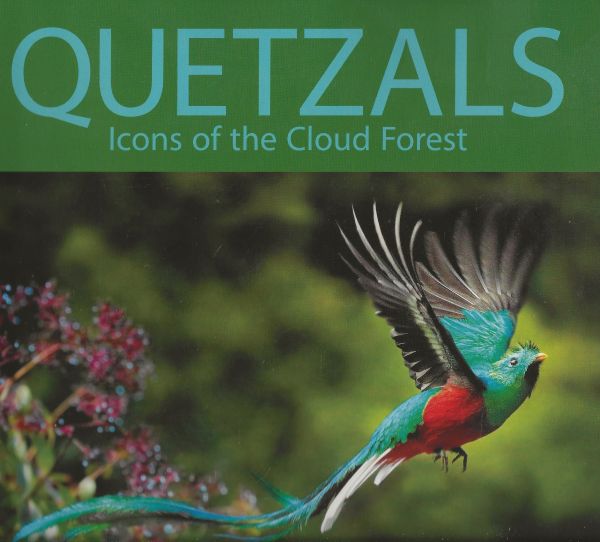 Quetzals - Icons of the Cloud Forest