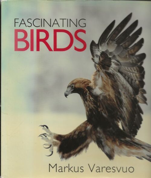 Fascinating Birds