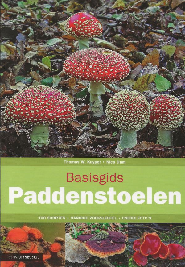 Basisgids Paddenstoelen