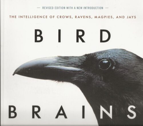 Bird Brains - The intelligence of crows, ravens, magpies and jays