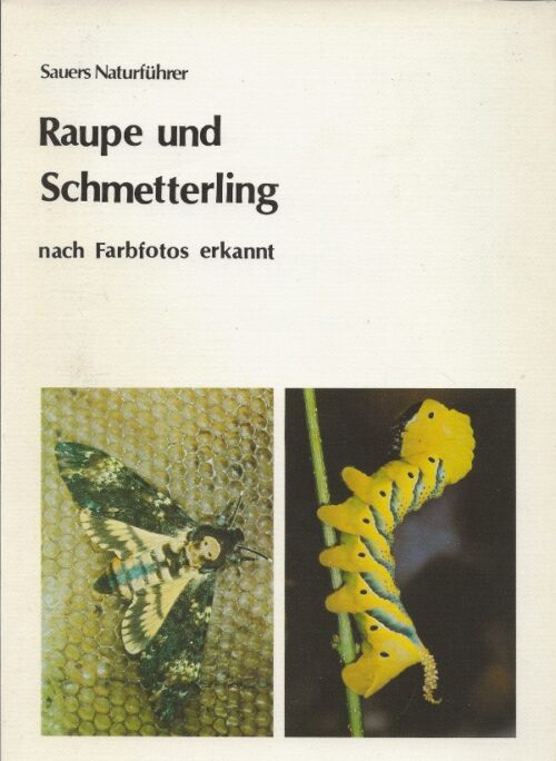 Raupe und Schmetterling nach Farbfotos erkannt