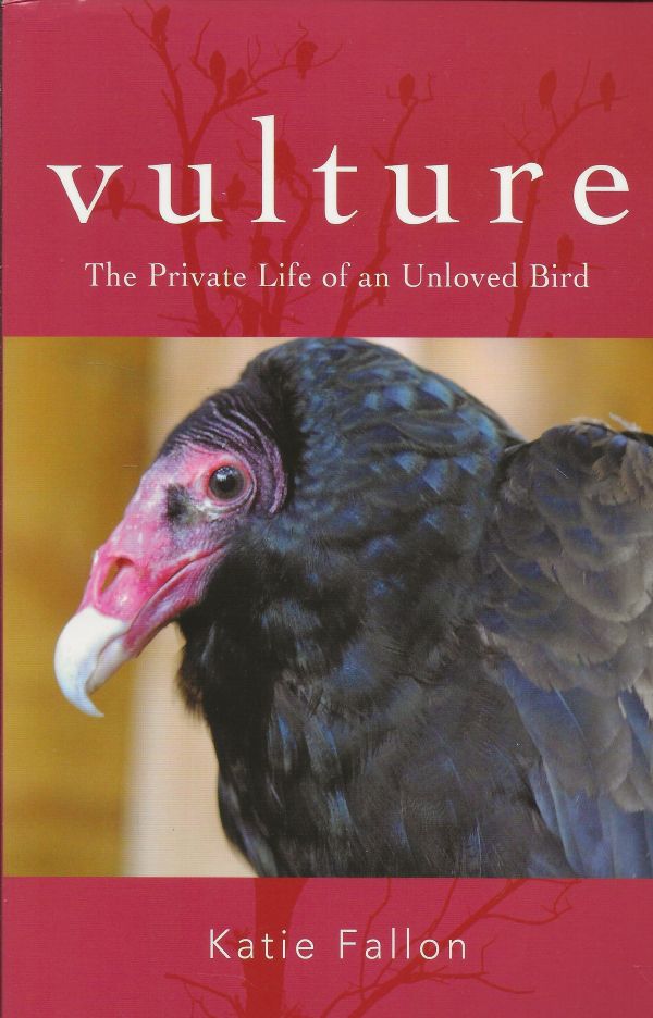 Vulture - The Private Life of an Unloved Bird