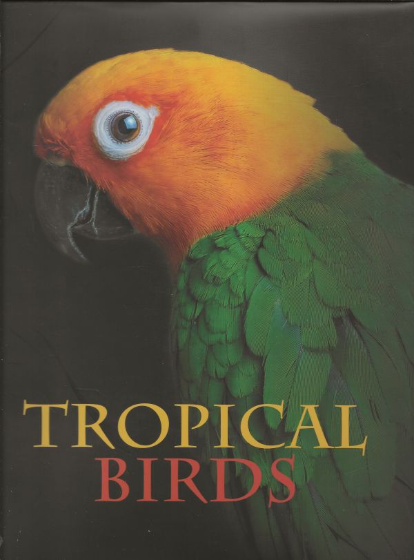 Tropical Birds