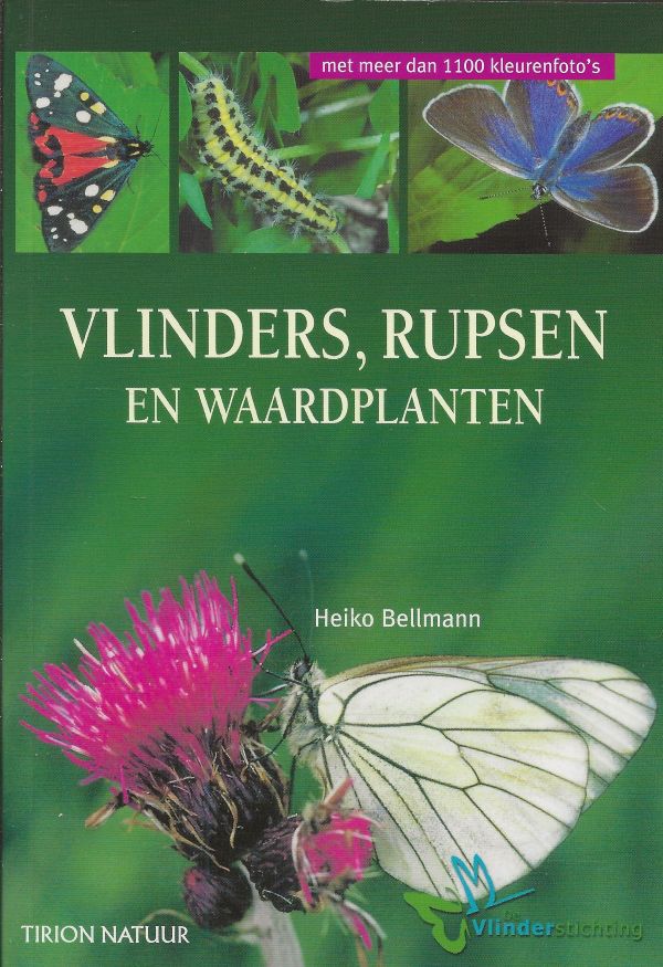 Vlinders, rupsen en waardplanten