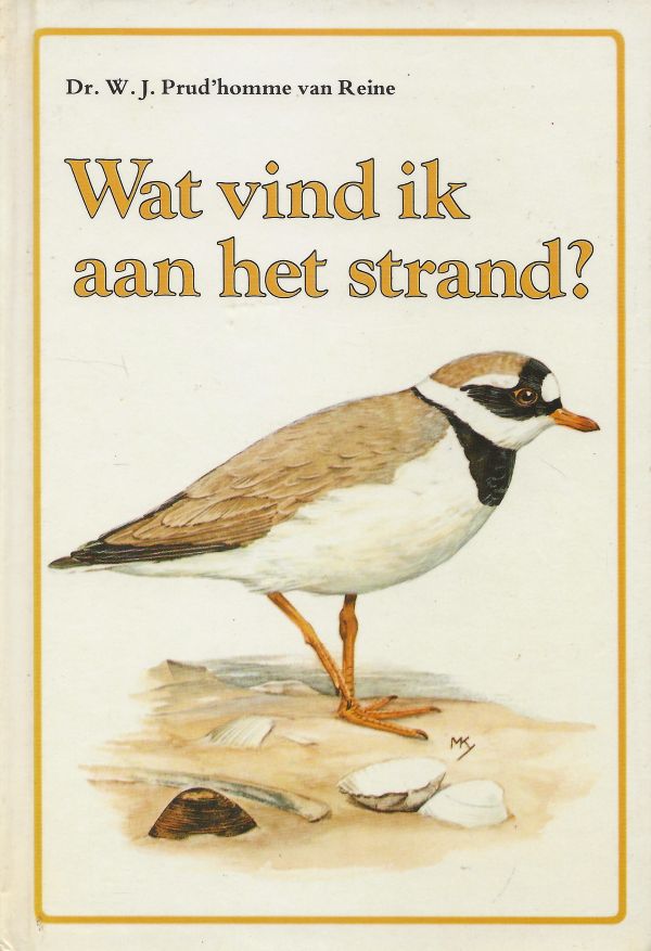 Wat vind ik aan het strand?