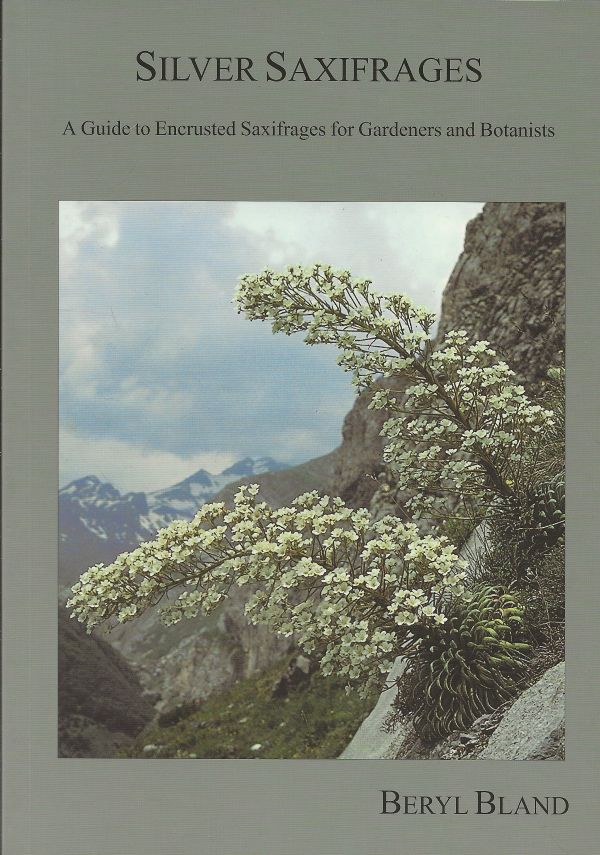 Silver Saxifrages - A Guide to Encrusted Saxifrages for Gardeners and Botanists