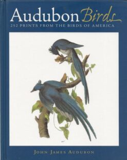 Audubon Birds - 252 prints from The Birds of America