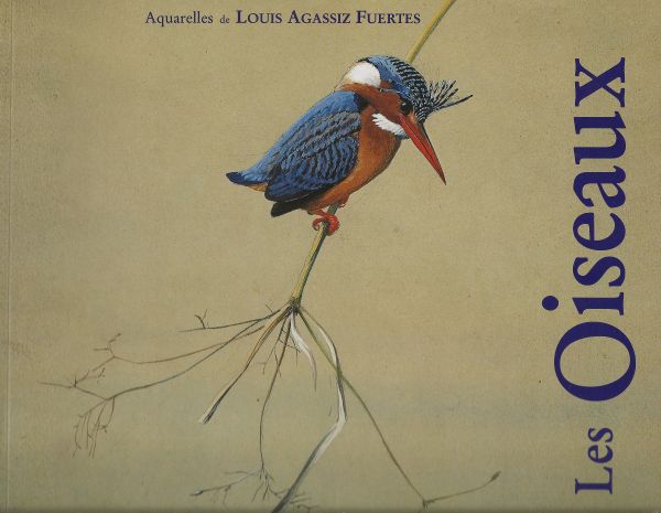 Les Oiseaux - Aquarelles de Louis Agassiz Fuertes
