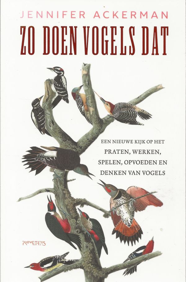 Zo doen vogels dat