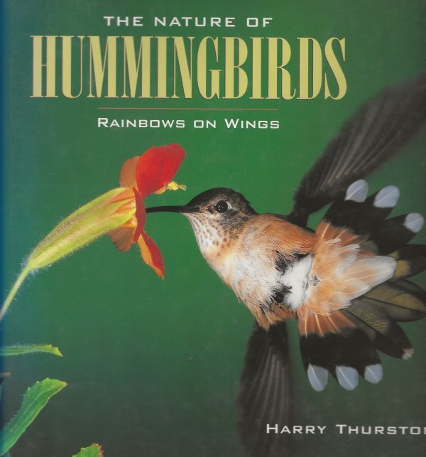 The Nature of Hummingbirds - Rainbows on Wings