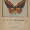 Falterschönheit - Exotische Schmetterlinge in Farbigen Naturaufnahmen