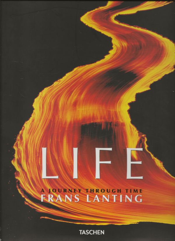 LIFE - A journey through time