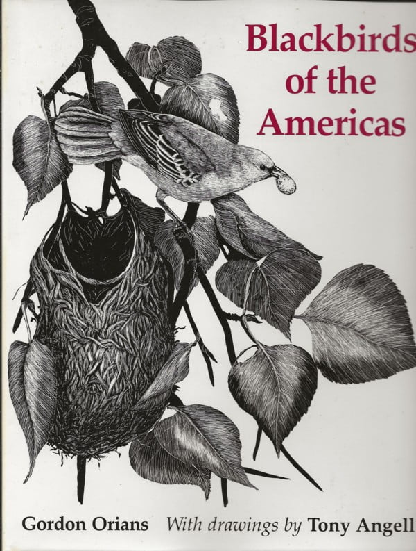 Blackbirds of the Americas