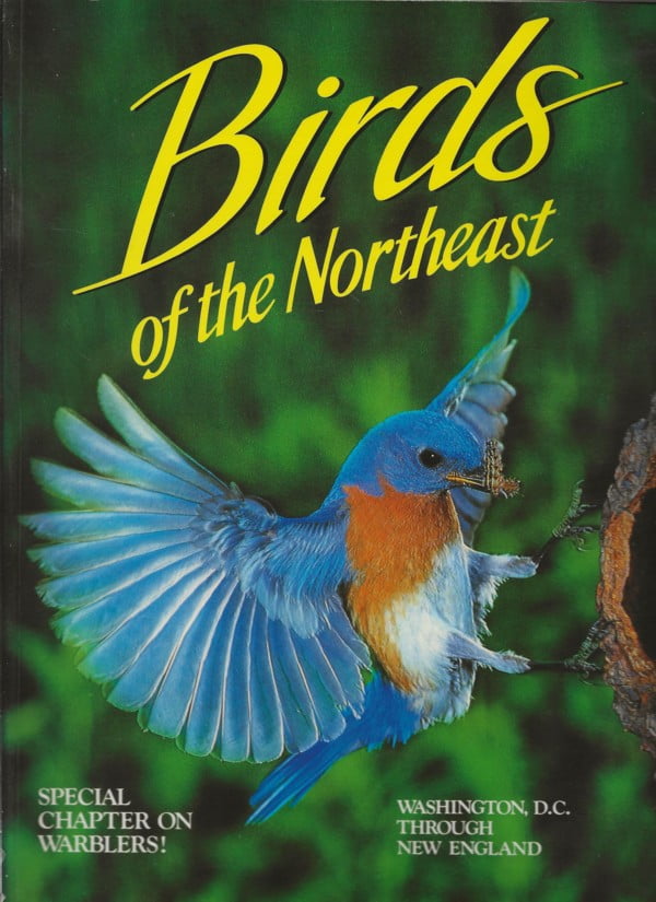 Birds of the Northeast