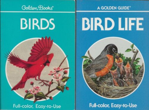 Birds - Bird Life (2 boekjes)