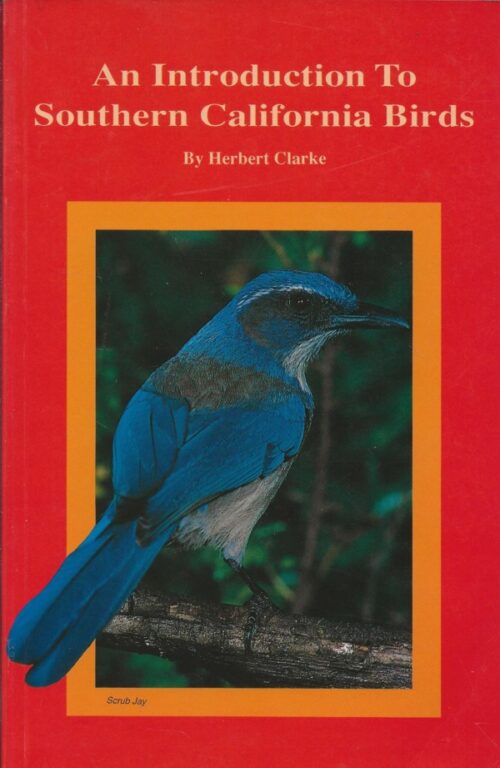 An Introduction To Southern California Birds