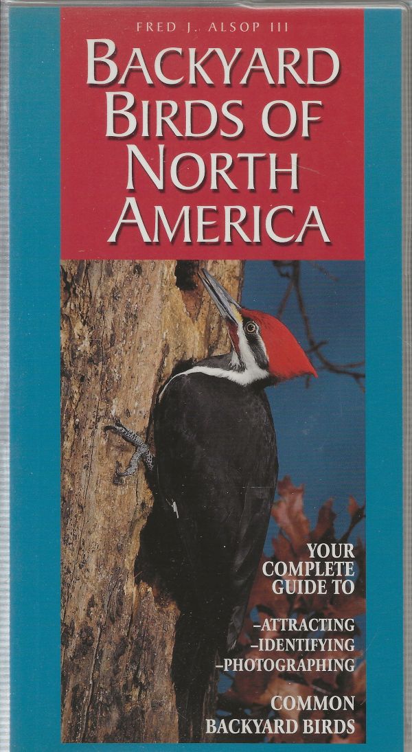 Backyard Birds of North America