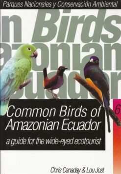 Common Birds of Amazonian Ecuador
