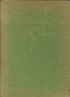Birds of America