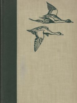Birds of America