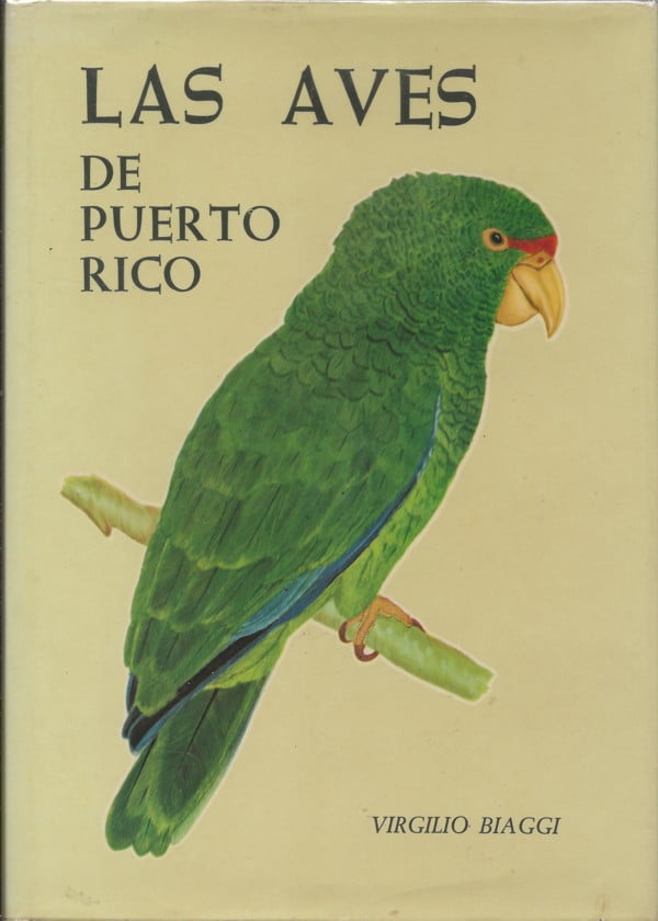 Las Aves de Puerto Rico
